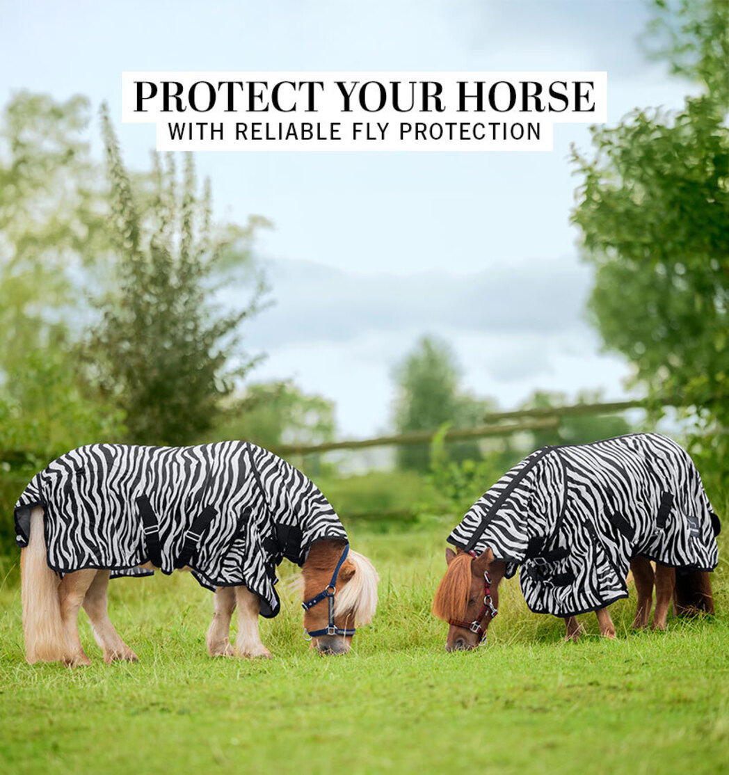 Kramer Equestrian | Riding Accessories and Equestrian Products