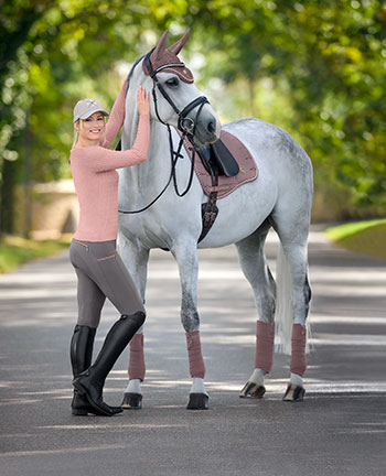 Horse - Horse - Kramer Equestrian