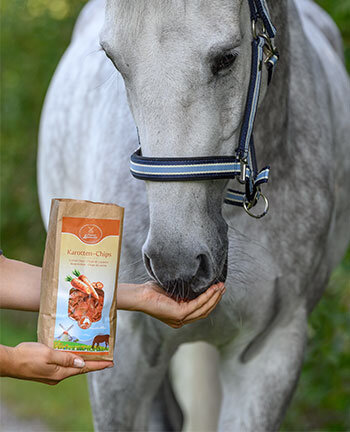 Horse Feed & Supplements