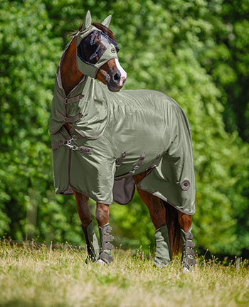 Fly Protection