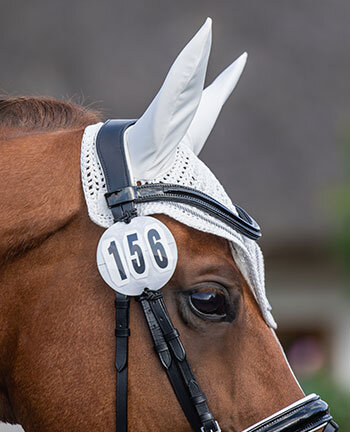Competition accessories for horses