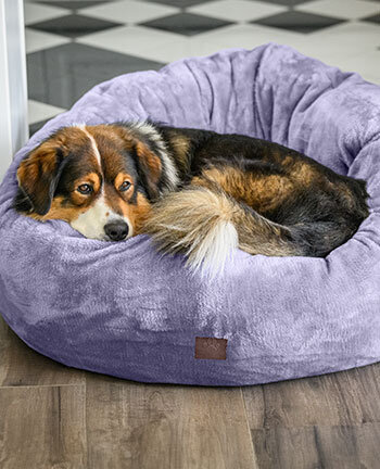 Dog Beds & Cushions