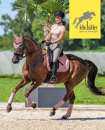 Felix B hler Brands Kramer Equestrian