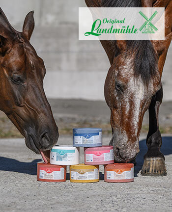 Original Landmhle Horse Licks