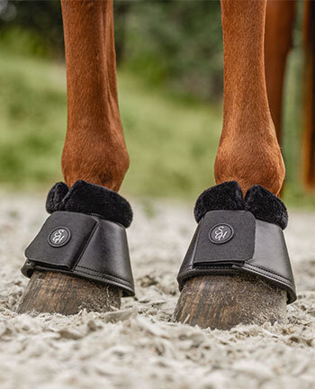 Leg & Hoof Protection