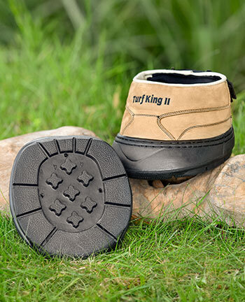 Leg Protection and Hoof Protection in the online shop kramer