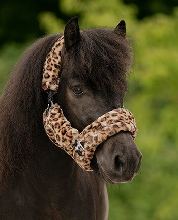 Pony & Shetlandpony Headcollars