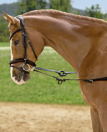 Side Reins & Other Training Aids