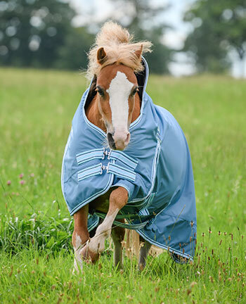 Pony & Foal Rugs