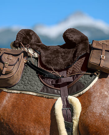 Trekking Saddles &Accessories