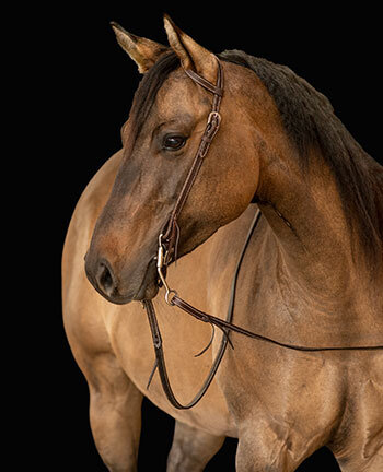 Western bridle hotsell
