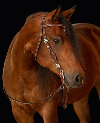 Headstalls with Knotted Browbands