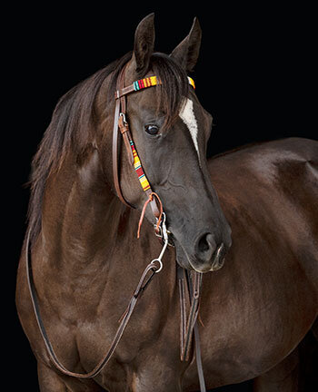 Headstalls with Straight Browbands