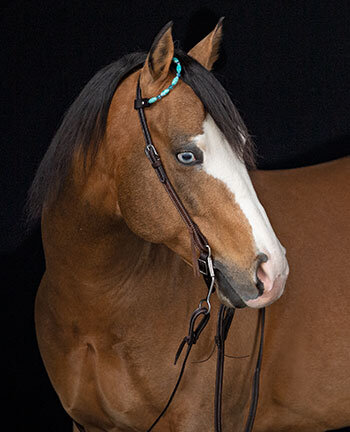 Western bridle outlet