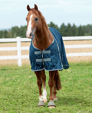 Western Horse Rugs & Accessories