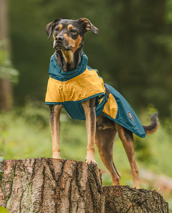 Rain coats without filling, 0g