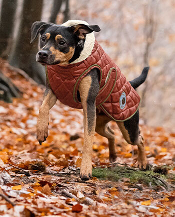 Winter coats with filling, from 50g