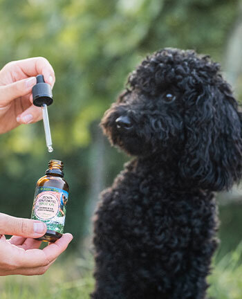 Dog Care Products
