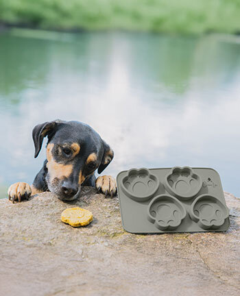 Dog Bowls & Travel Accessories