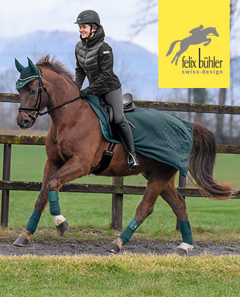 Felix Bhler Walker & Outdoor Exercise Rugs