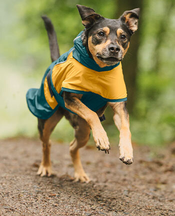 Dog Coats