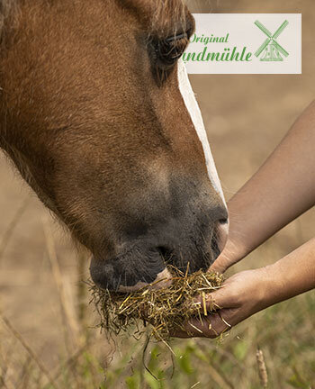 Original Landmhle Mash & Pasture Seed