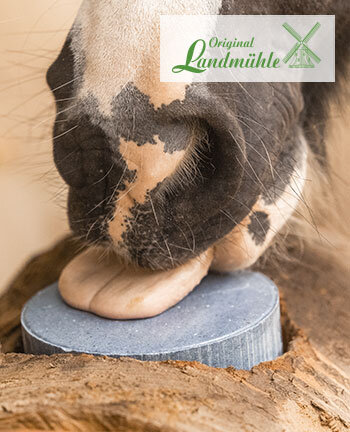 Original Landmhle Horse Licks