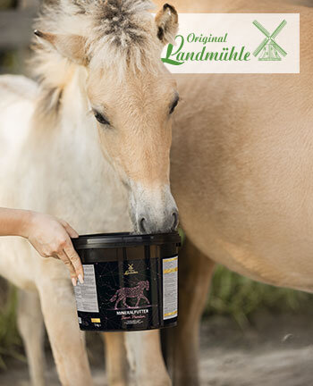 Original Landmhle Balancers & Supplements