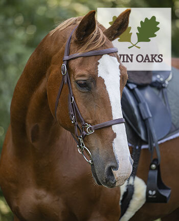 TWIN OAKS Horse Equipment
