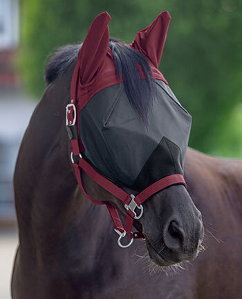 Fly Protection
