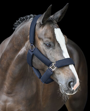 Headcollars & Lead Ropes