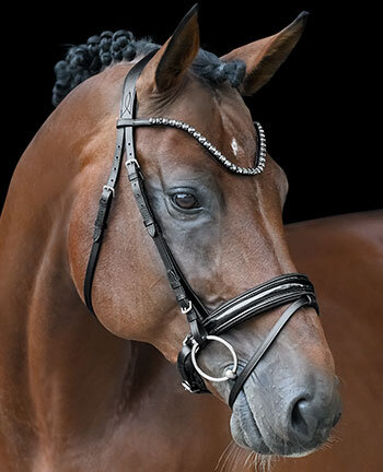 Bridles & Nosebands