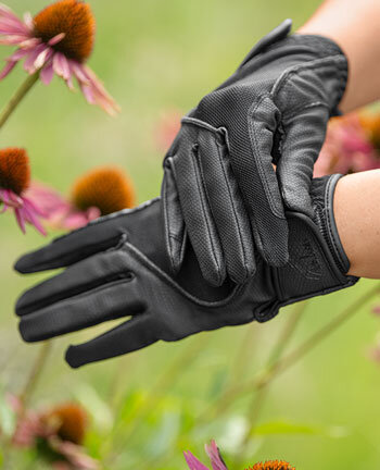 Riding Gloves