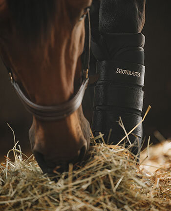 Stable & Travel Boots