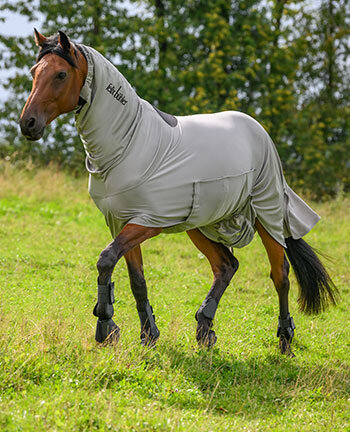Sweet Itch Rugs
