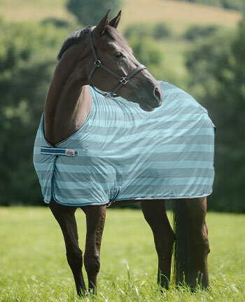 Fly Rugs