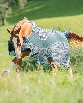 Fly Rugs