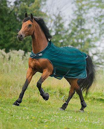 Walker & Outdoor Exercise Rugs