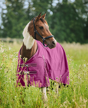 Light- & Heavyweight Turnout Rugs