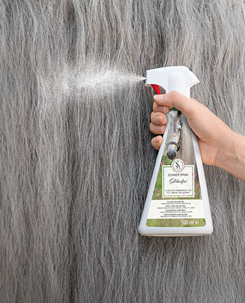 Coat & Mane Care