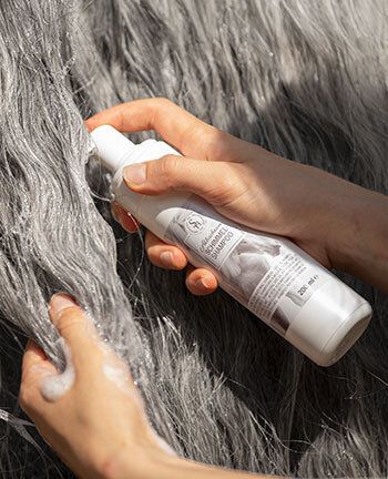 Shampoos & Dry Shampoos