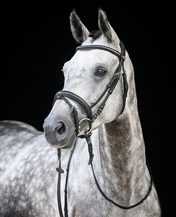 Cavesson & Flash Nosebands