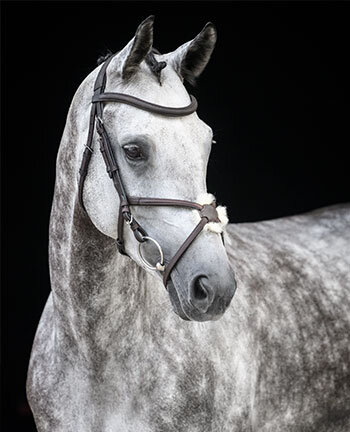 Drop Nosebands & Cross Nosebands