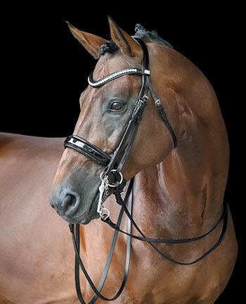 Crank Flash Bridles & Double Bridles