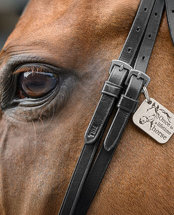 Bridle Accessories