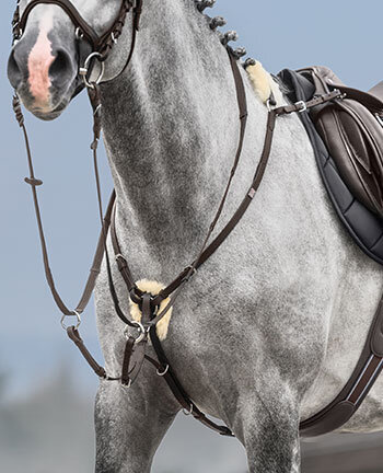Breastplates & Martingales