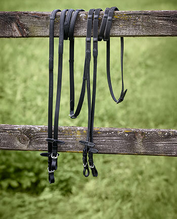 Reins