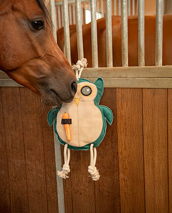Toys for Horses