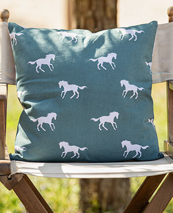 Home Accessories