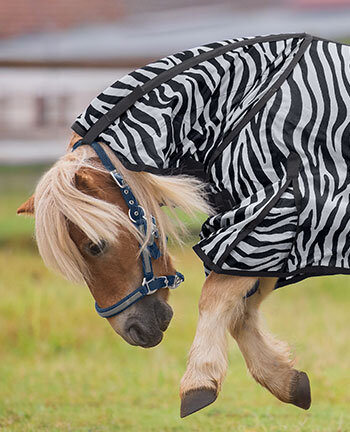Pony Fly Control